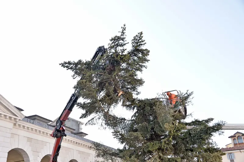 Piazzale Arnaldo, albero di Natale smantellato