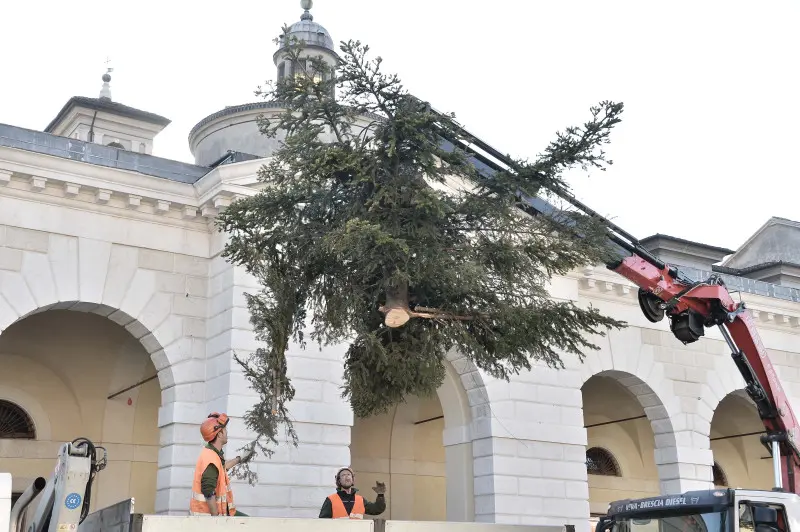 Piazzale Arnaldo, albero di Natale smantellato