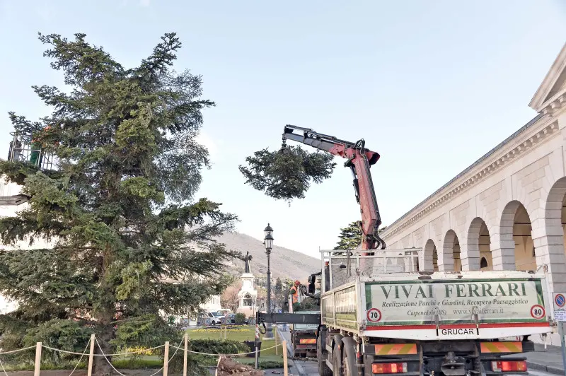 Piazzale Arnaldo, albero di Natale smantellato