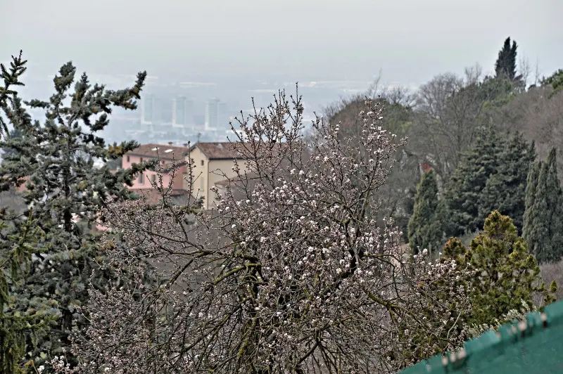 Carnevale con la neve