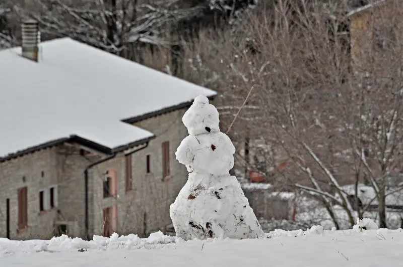 Carnevale con la neve