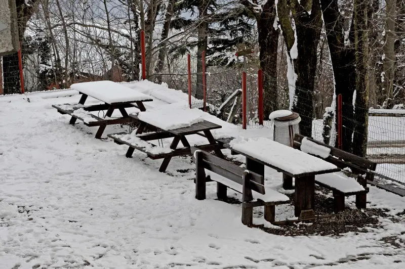 Carnevale con la neve