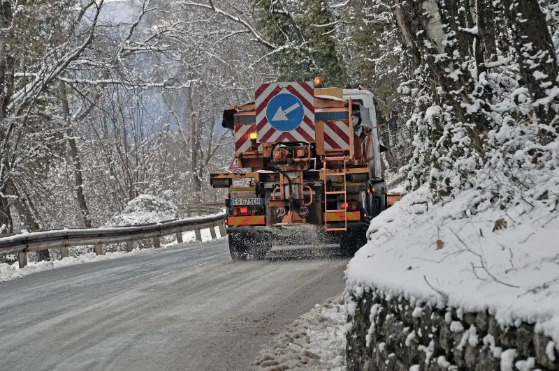 Carnevale con la neve