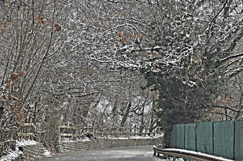 Carnevale con la neve
