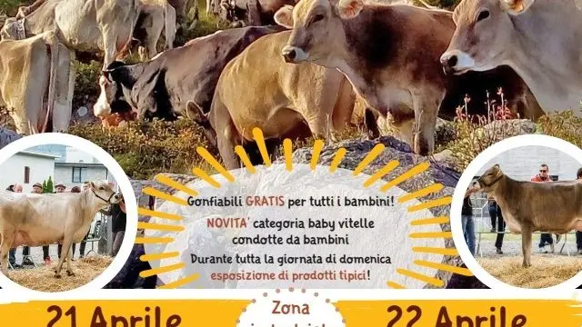 Fiera agricola a Bienno, la locandina - Foto di repertorio