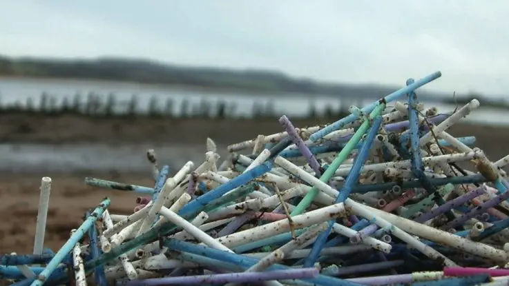 Un mucchio di bastoncini di plastica dei cotton fioc in spiaggia
