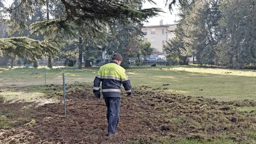 Come  arato. Ecco come si presentava ieri mattina il parco della villa