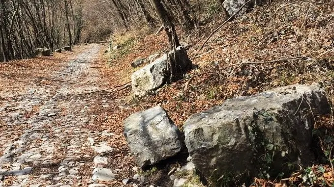 Lo smottamento. Caduti nel bosco oltre cinque metri cubi di massi