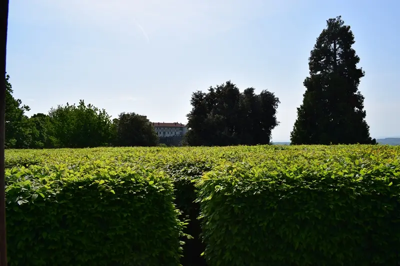 «Tre giorni per il giardino» a Masino