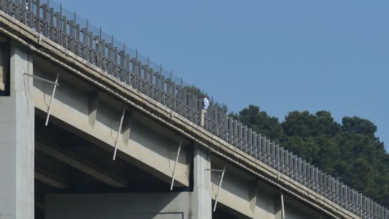 Luigi Filippone sul viadotto dell'autostrada A14 - Foto Ansa/Massimo Schiazzi