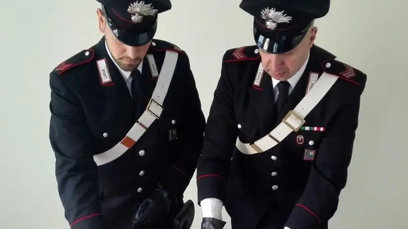 La droga sequestrata dai carabinieri