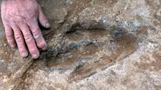 Impronte di dinosauri sulle Dolomiti  © www.giornaledibrescia.it