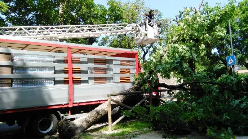 L'autocarro e l'albero abbattuto in via Brigida Avogadro, con i Vigili del Fuoco al lavoro nella foto di un lettore - © www.giornaledibrescia.it