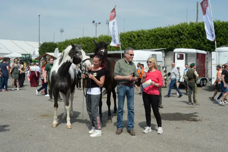 Travagliato Cavalli: In piazza con noi