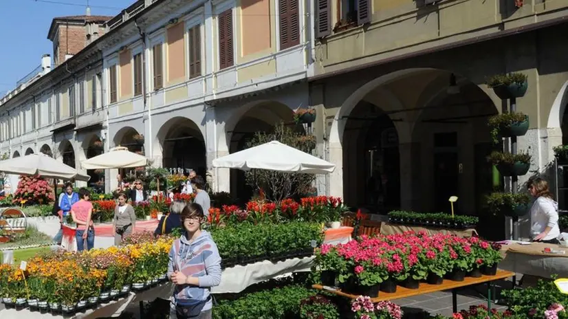 Corso Zanardelli. Immagine di piante e fiori della scorsa edizione