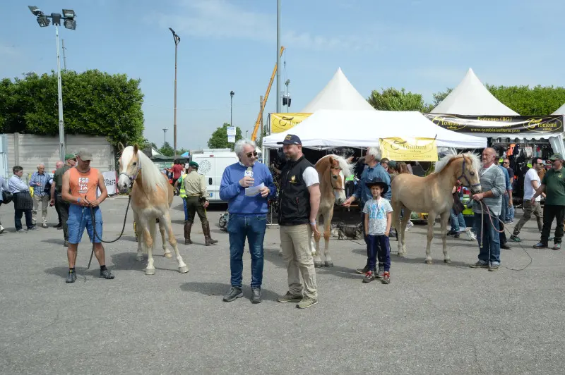 Travagliato Cavalli: In piazza con noi