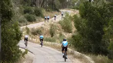 Atleti israeliani provano il tratto di partenza del Giro d'Italia che prenderà il via proprio nel Paese mediorientale - Foto Ap/Ansa © www.giornaledibrescia.it