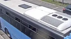 In un frame del video, il bus imbrattato - © www.giornaledibrescia.it