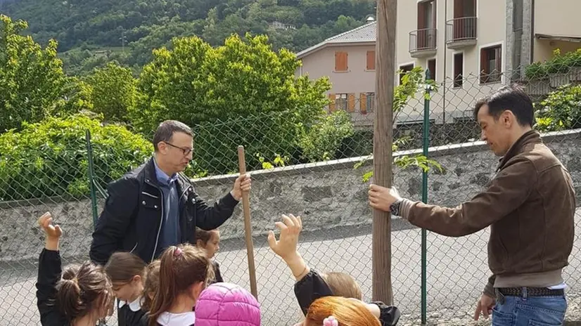 La cerimonia di posa dei nuovi alberi - © www.giornaledibrescia.it