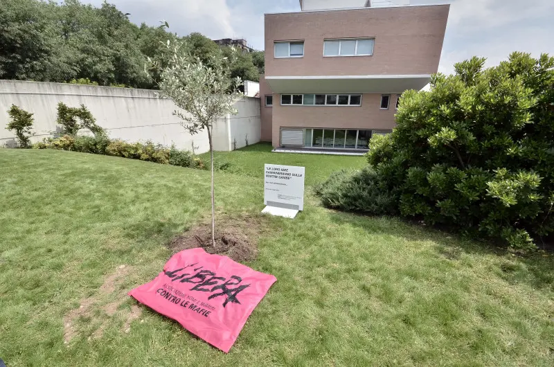 20 anni dalla strage di Capaci: un ulivo nel cortile del palazzo di Giustizia