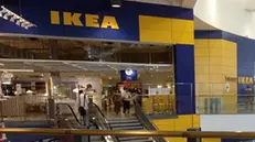 Visite all'Ikea