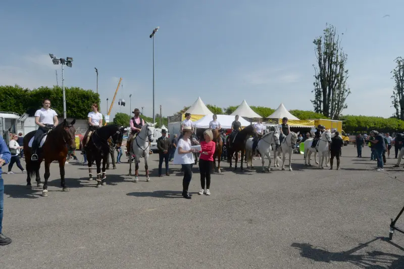 Travagliato Cavalli: In piazza con noi