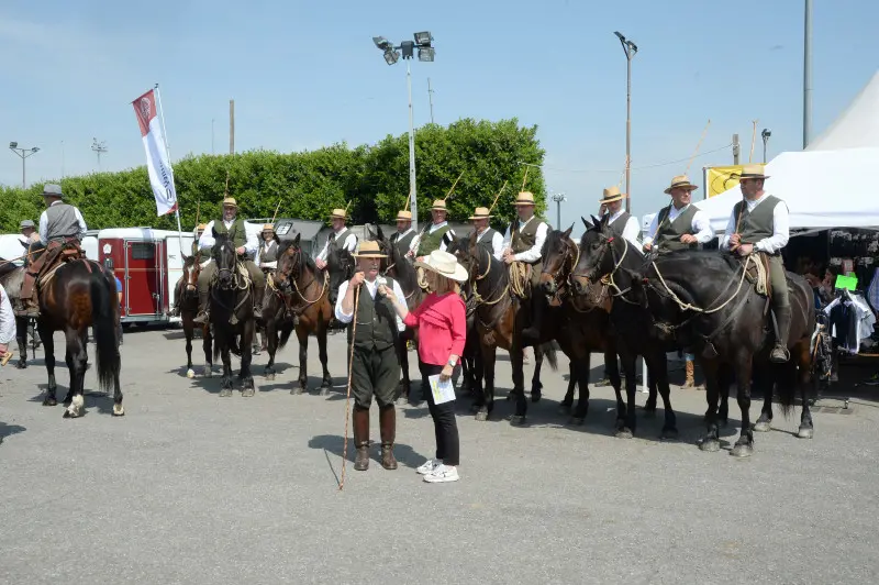 Travagliato Cavalli: In piazza con noi