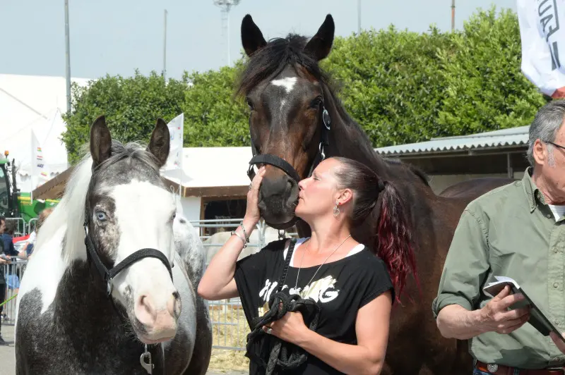 Travagliato Cavalli: In piazza con noi
