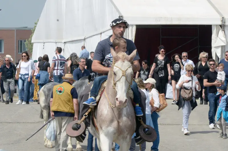Travagliato Cavalli: In piazza con noi