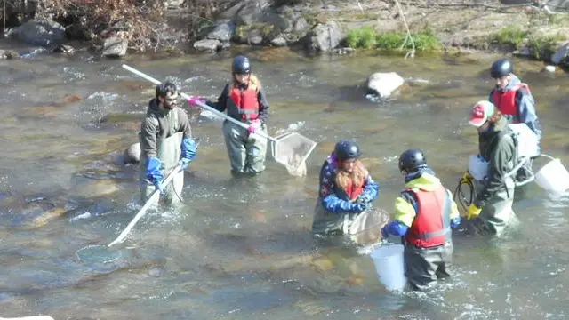 Nell’Oglio, gli studenti mentre pescano nel fiume con i retini - © www.giornaledibrescia.it