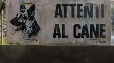 Il segnale Attenti al cane