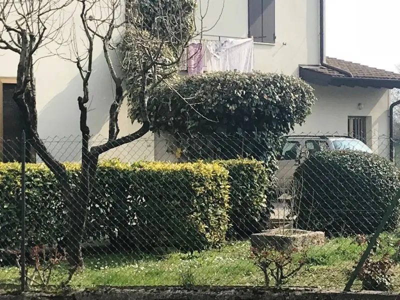 Manerba, precipita nel pozzo per salvare il gatto