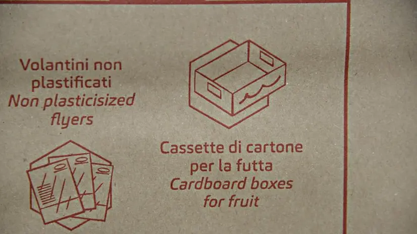 Il dettaglio con la svista ortografica