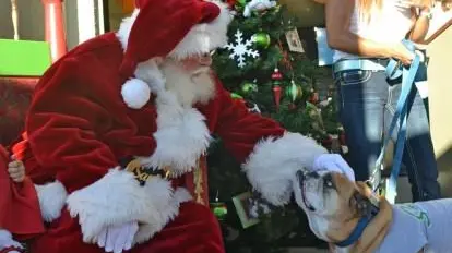 Una carezza da Babbo Natale ad un amico a quattro zampe