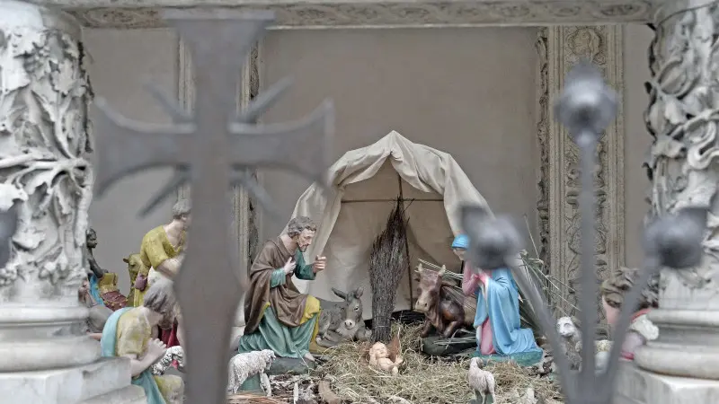 Il nuovo asino nel presepe