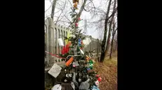 Monnezzacchio, l'albero di Natale addobbato coi rifiuti abbandonati