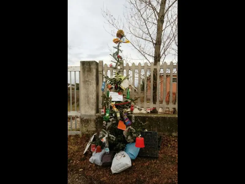 Monnezzacchio, l'albero di Natale addobbato coi rifiuti abbandonati