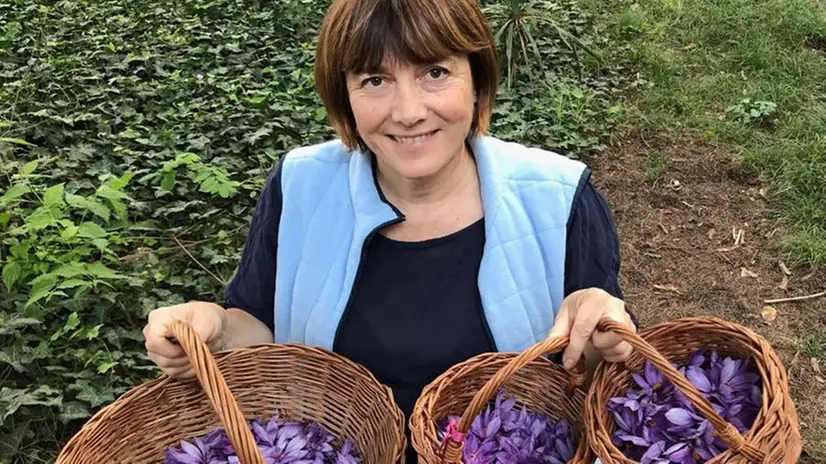 Raffaella Visconti nel regno dello zafferano