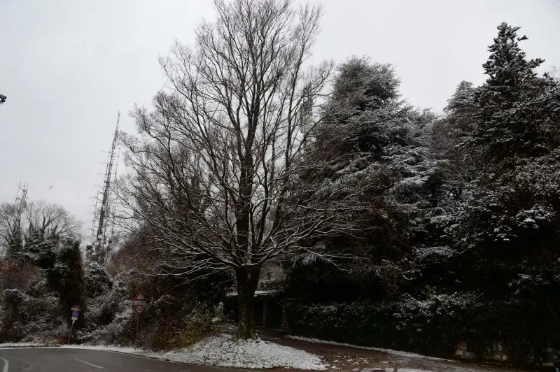 Spruzzata di neve in Maddalena