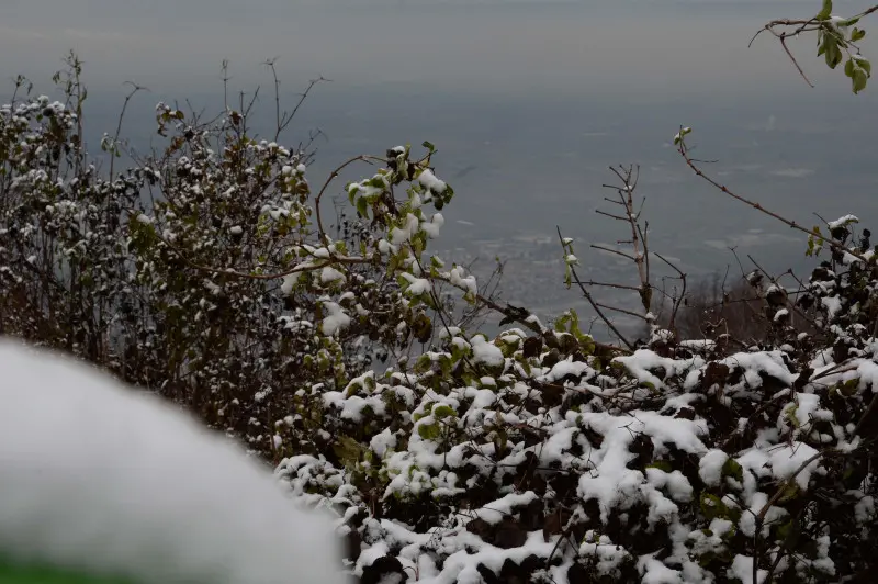 Spruzzata di neve in Maddalena