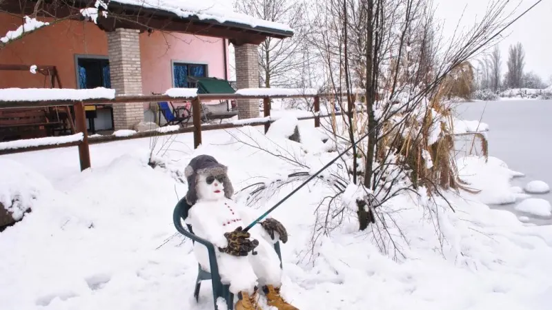 La nevicata del febbraio 2015 - Foto GdB/Zoom