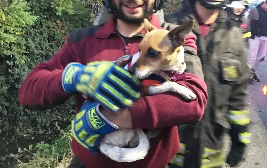 La cagnolina Magda con i Vigili del Fuoco volontari di Orzinuovi