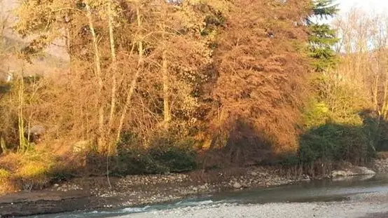 Com’è. Poca acqua nel letto