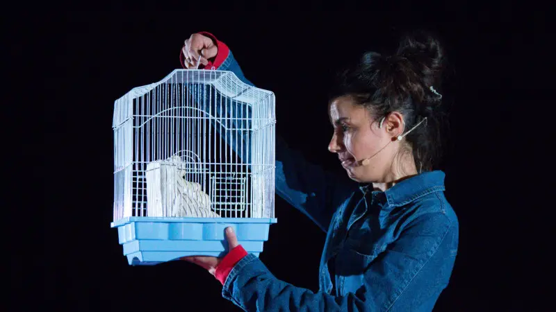 Lo spettacolo di Francesca Franzè