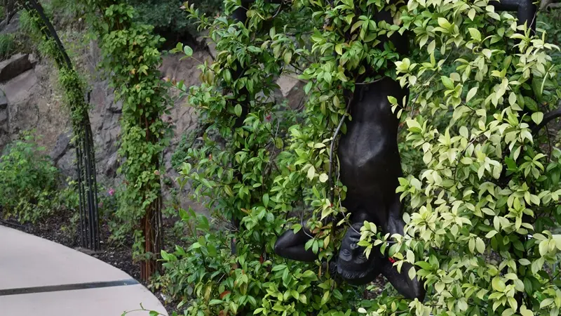 Giardini di Castel Trauttmansdorff 4