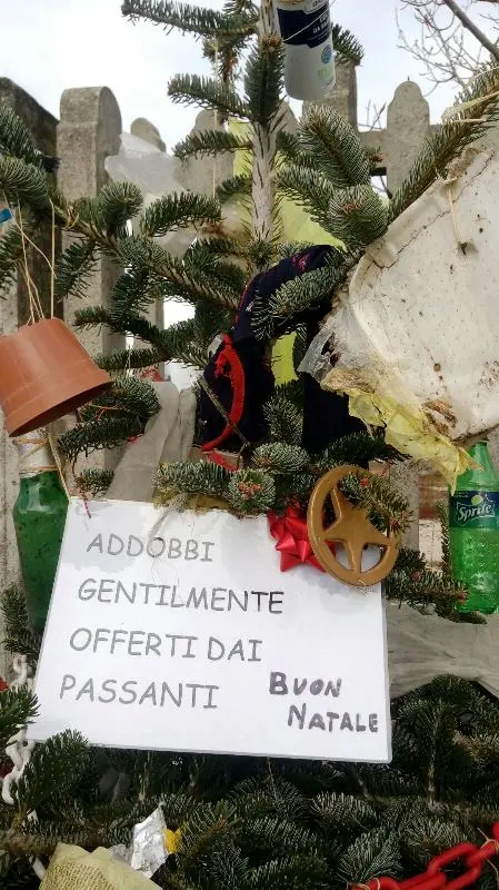 Monnezzacchio, l'albero di Natale addobbato coi rifiuti abbandonati