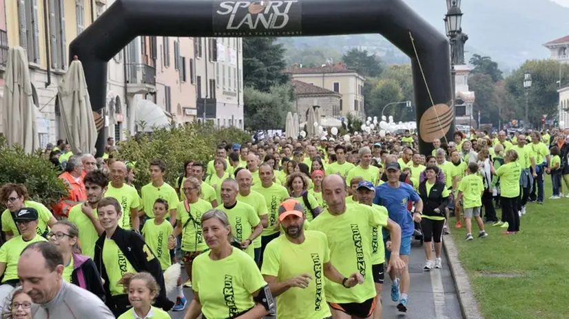 La Zebra Run 2016