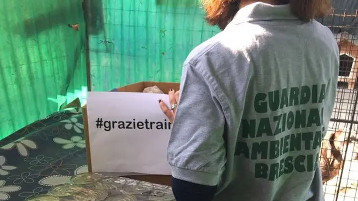 Alcune immagini delle attività della G.N.A.