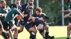 Rugby, Brescia-Colorno