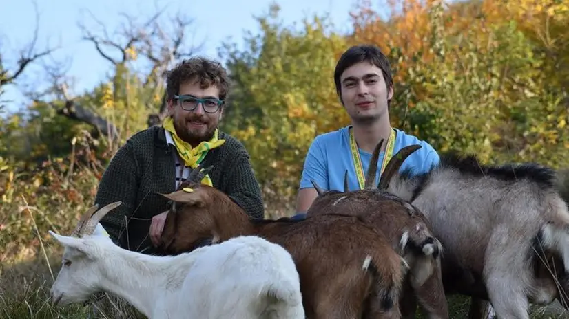 Fratelli in affari. I bresciani Francesco e Giulio Frugoni